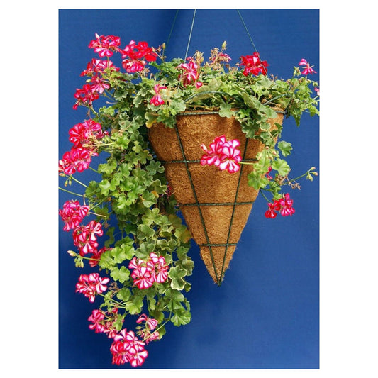 Cone Hanging Basket with Metal Frame (Size 10)