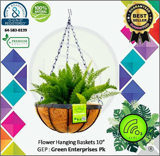 Flowers Hanging Basket with Metal Frame and Coco Liner (10 inches diameter)